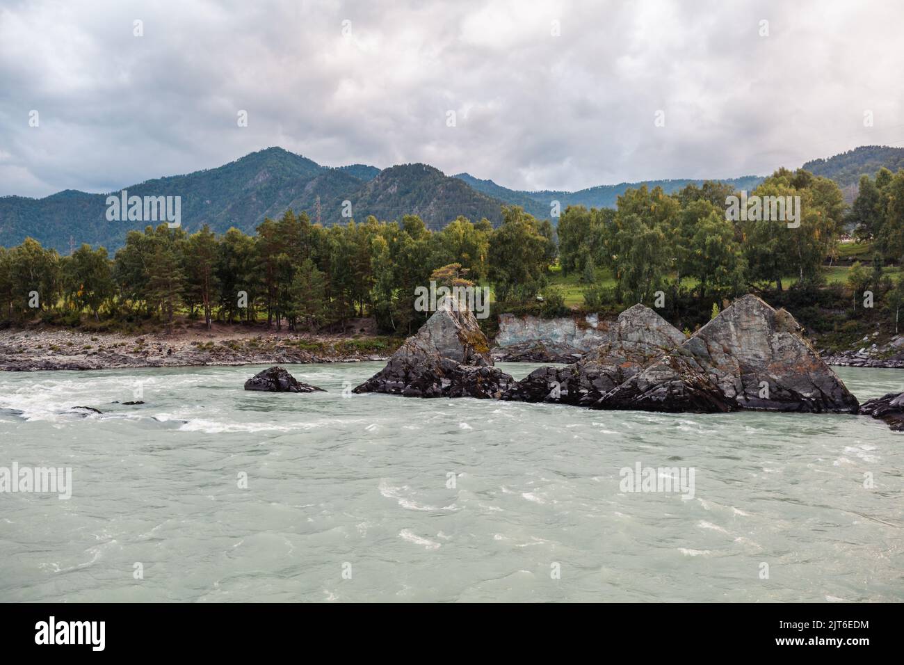 Ein schnell fließender breiter und voll fließender Gebirgsfluss. Große Felsen ragen aus dem Wasser. Großer Gebirgsfluss Katun, türkisfarben, im Altai-Gebirge Stockfoto