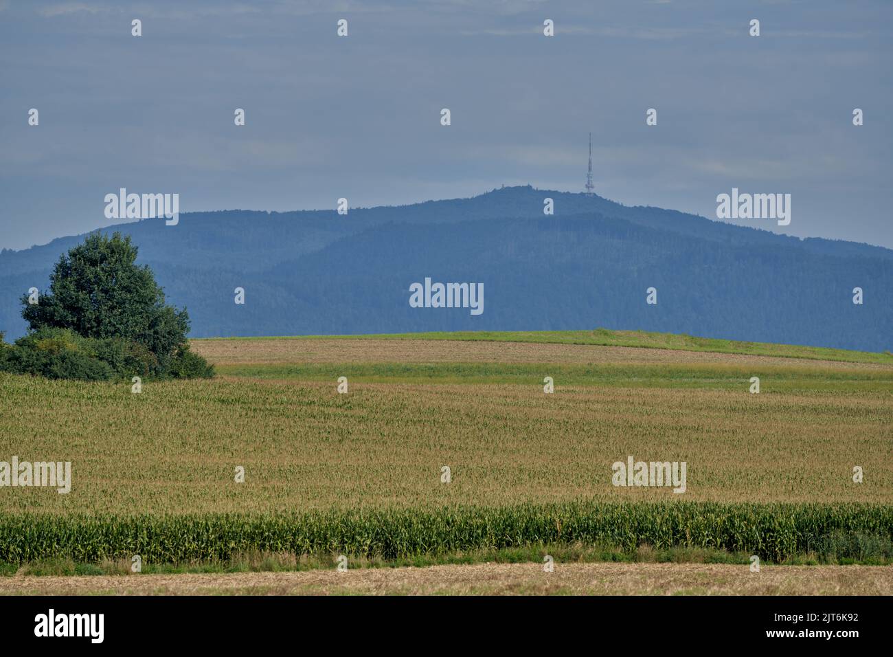 Neblig mornig in den Feldern Niederschlesien Polen Stockfoto
