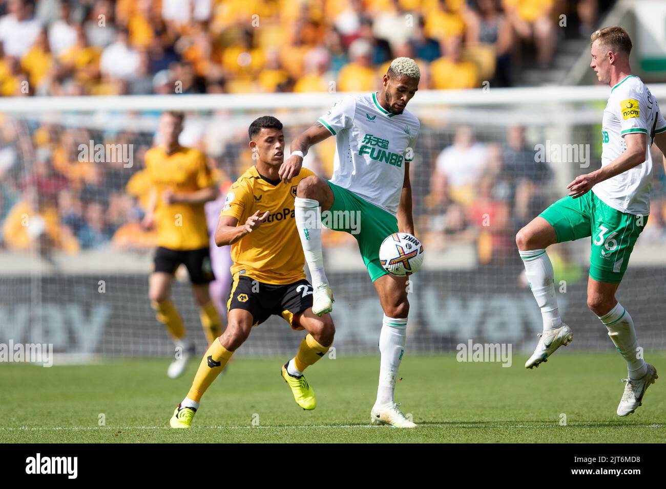 Joelinton aus Newcastle in Aktion während des Premier League-Spiels zwischen Wolverhampton Wanderers und Newcastle United am Sonntag, 28.. August 2022 in Molineux, Wolverhampton. Stockfoto