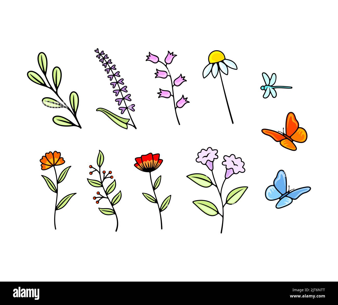 Set von Vektorblumen, Wildblumen, Laub, Blüte und Blüte. Natur, Pflanzen, Insekten, Libellen und Schmetterlinge, Vektorgrafik und Illustration Stock Vektor