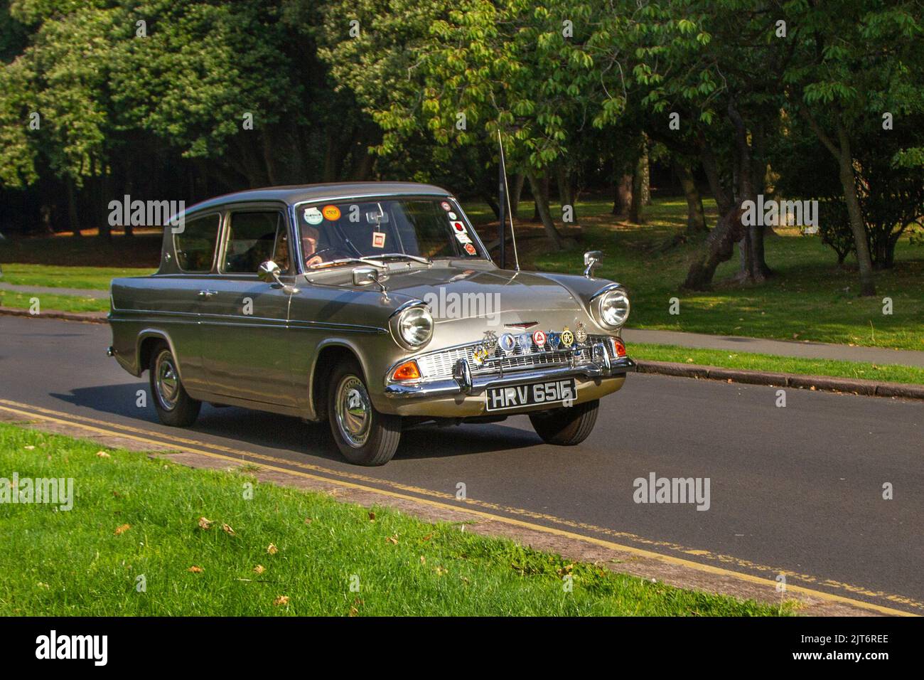 1967 60s Sixties Gold FORD Präfekt Super 1197cc Benzin; Ankunft bei der jährlichen Stanley Park Classic Car Show in den Ital Gardens. Stanley Park Classics Yesteryear Motor Show, veranstaltet von Blackpool Vintage Vehicle Preservation Group, Großbritannien. Stockfoto