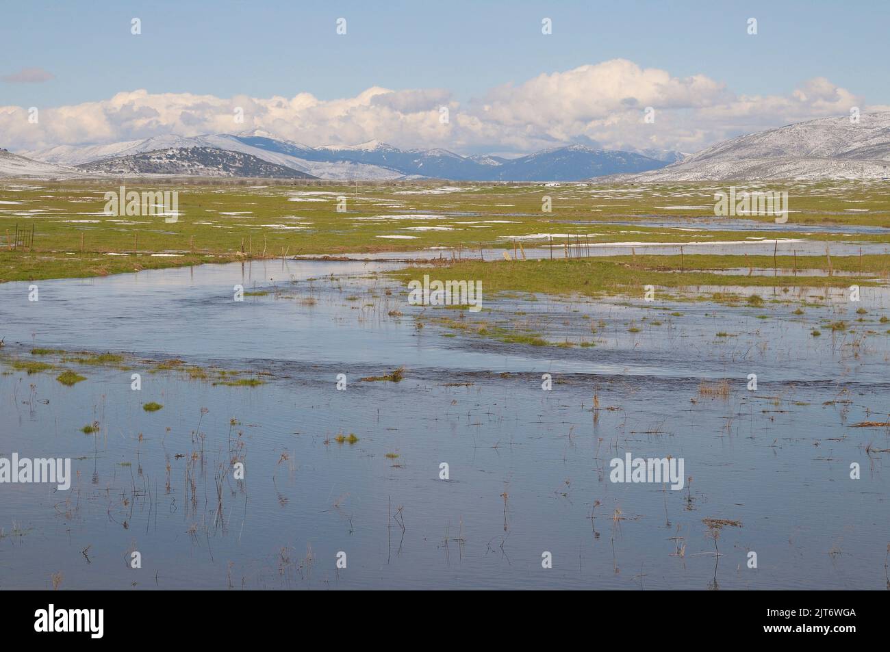 Hochwasser des Voltoya-Flusses in der Provinz Ávila. Stockfoto