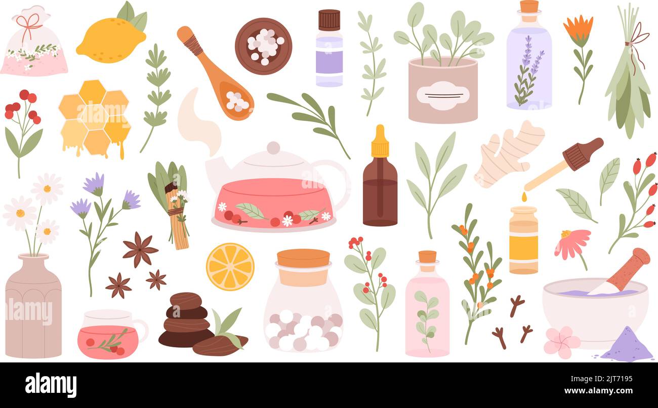 Homöopathie Ergänzung und Kräuter medizinischen Set. Schönheitsmedizin kosmetische, alternative Kräuterapotheke. Aromatherapie und Wellness rassige Vektor-Elemente Stock Vektor