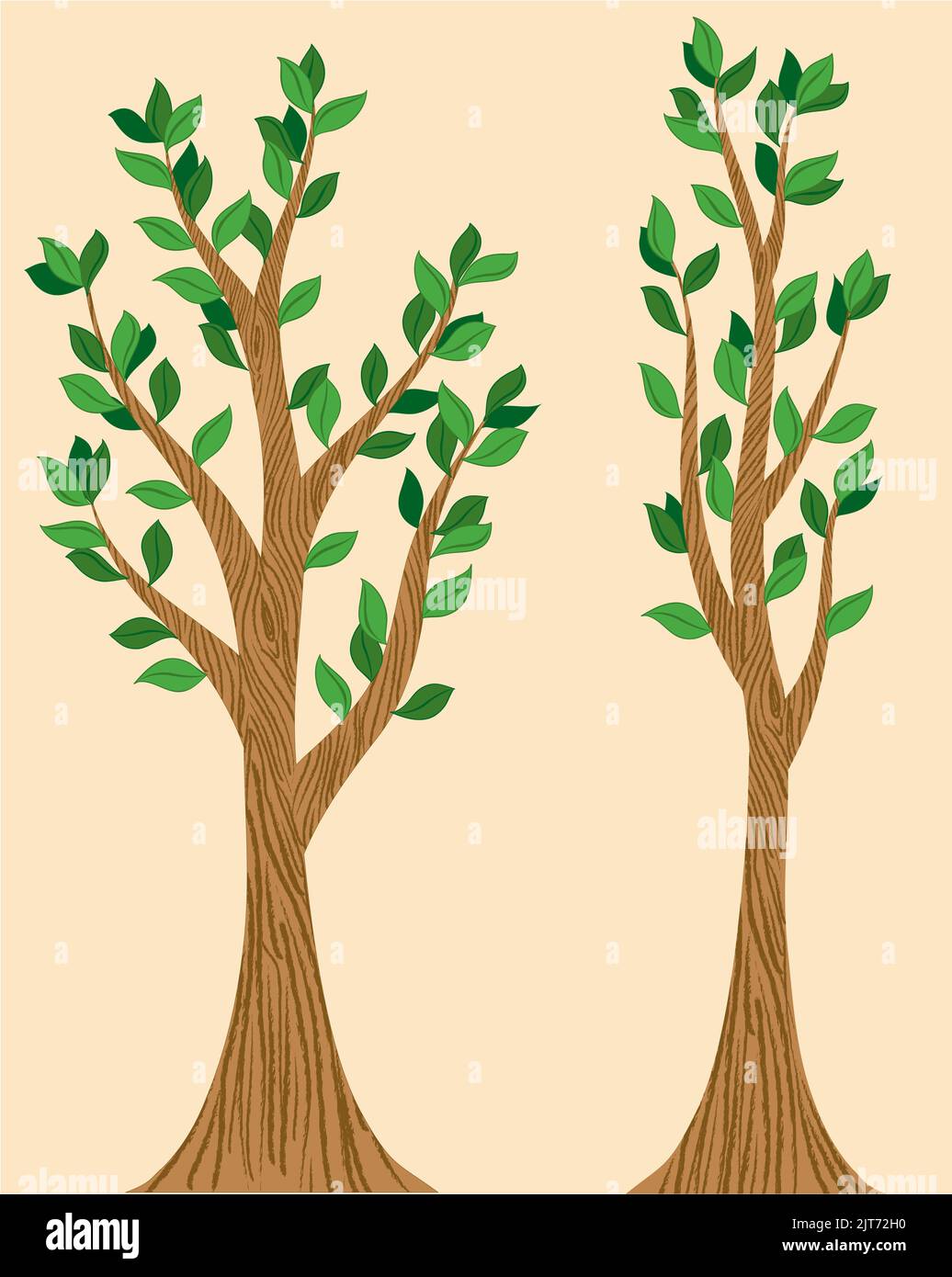 Eine grafische Vektordarstellung eines Paares von Frühlingsbäumen mit neuen Blättern. Stock Vektor