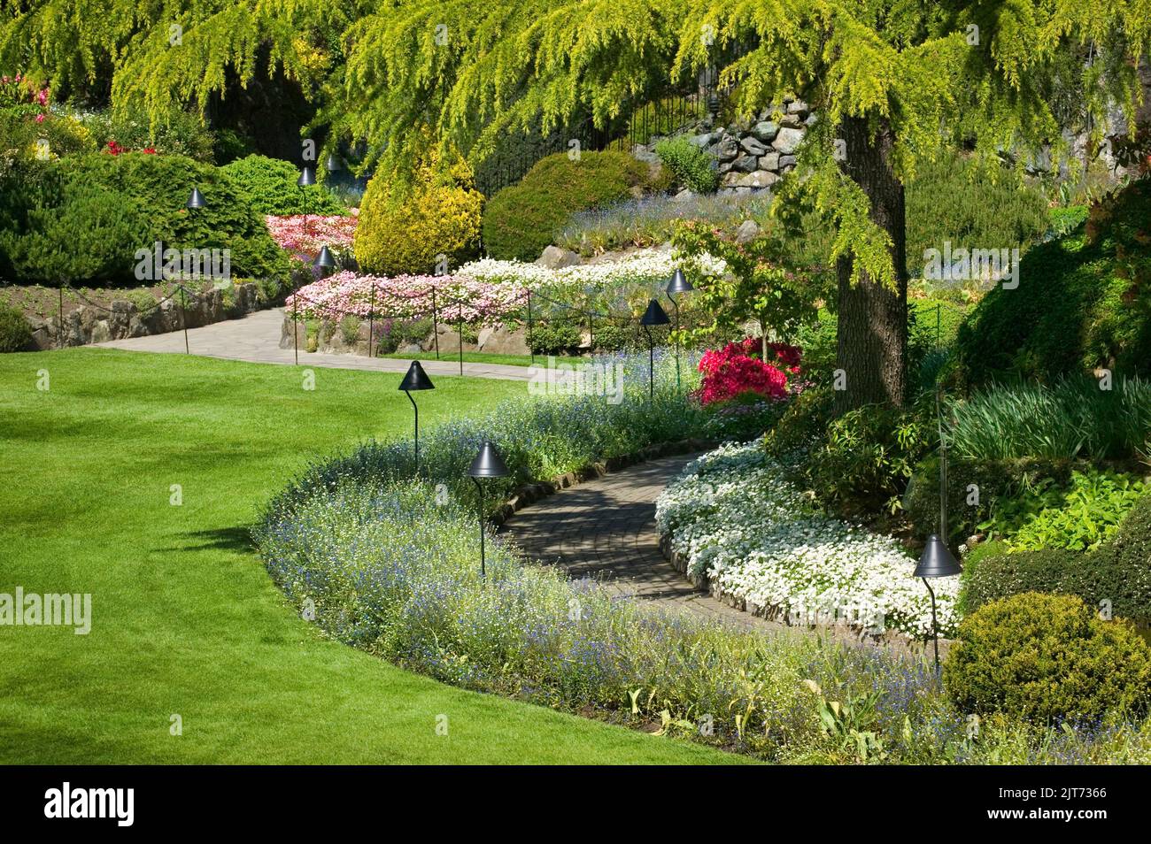 Ein Weg schlängelt sich durch die Butchart Gardens, Vancouver Island, British Columbia. Stockfoto