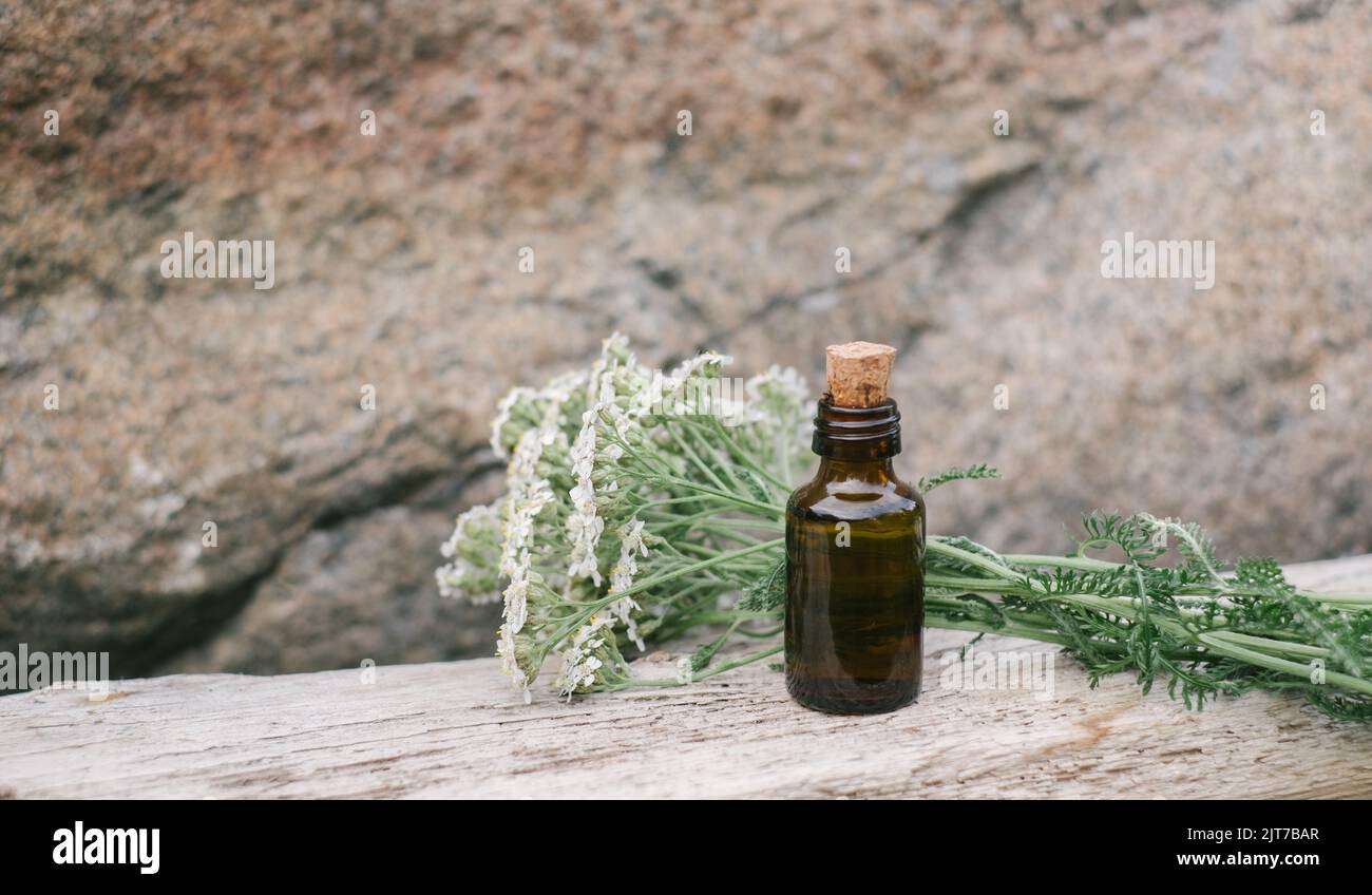 Kleine braune Medizinflasche auf natürlichem Hintergrund mit weißen Schafgarben-Blüten. Stockfoto
