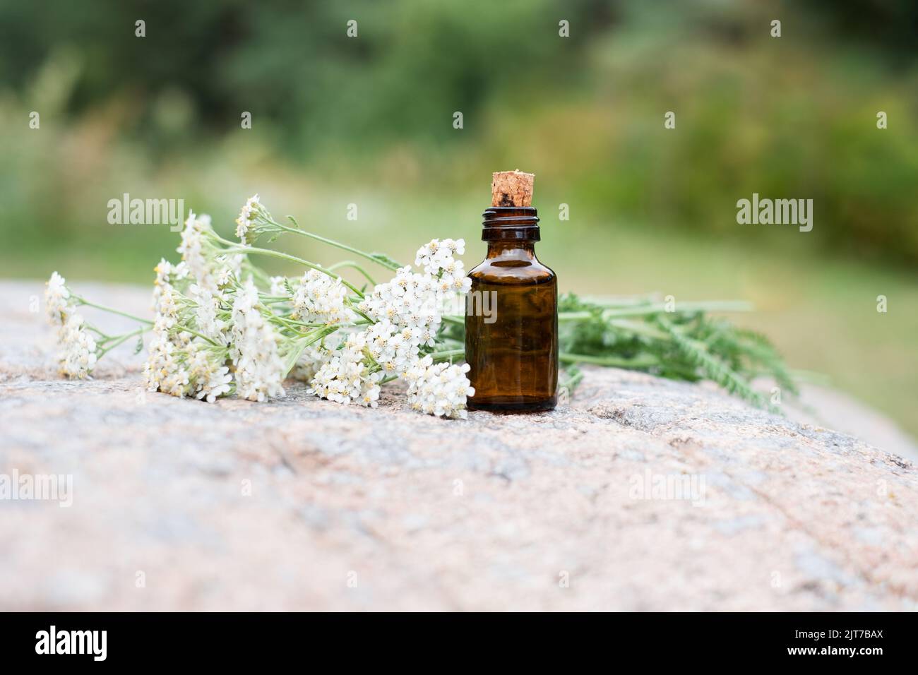 Kleine braune Medizinflasche auf natürlichem Felsenhintergrund mit weißen Schafgarben-Blüten. Stockfoto
