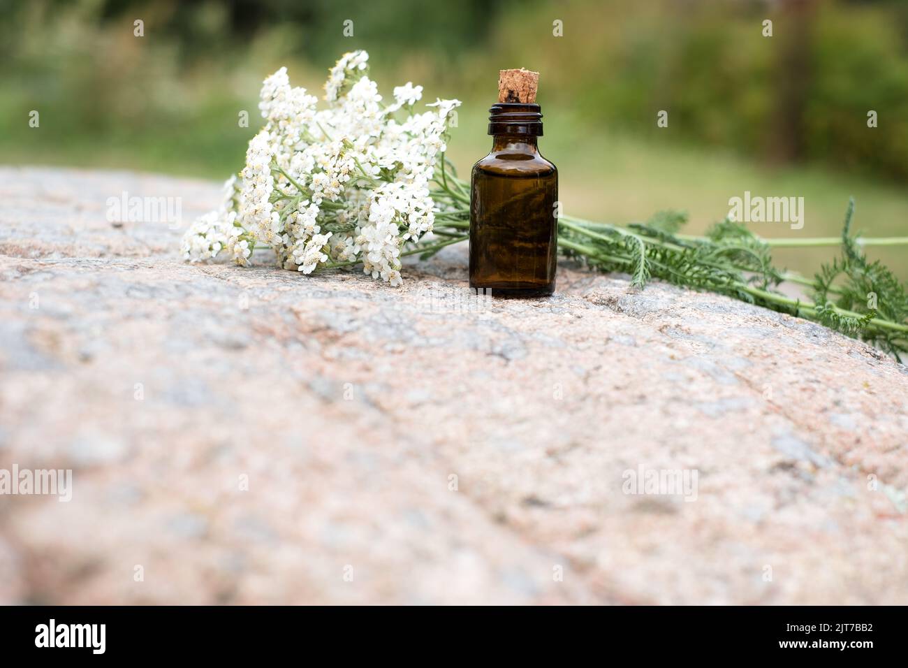 Kleine braune Medizinflasche auf natürlichem Felsenhintergrund mit weißen Schafgarben-Blüten. Stockfoto