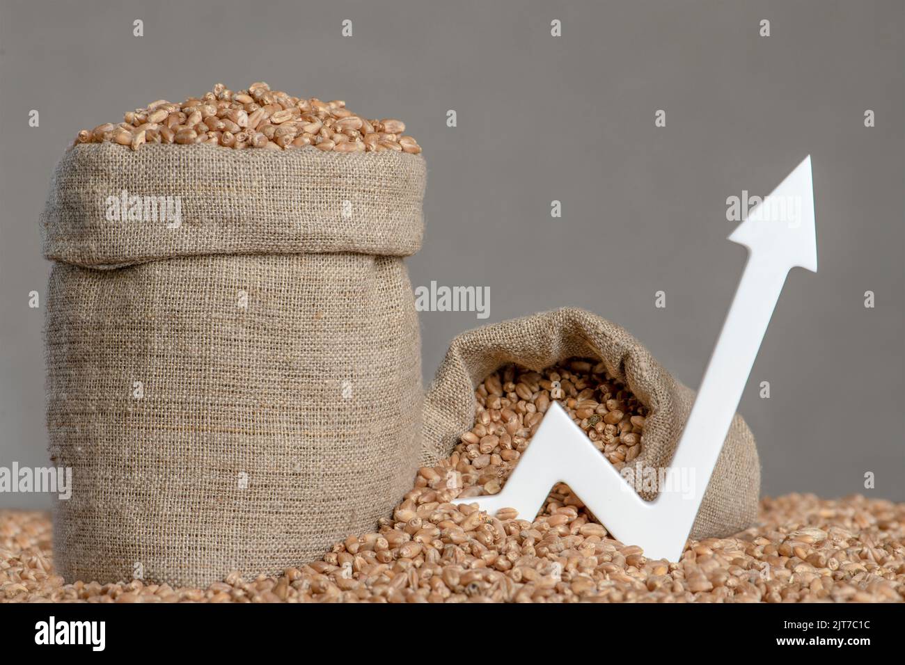 Weltweite Nahrungsmittelkrise. Weizenkörner, Nahaufnahme. Getreideernte, schlechte Ernte. Weizenpreis, Futures, Derivate, Kontrakte. Stockfoto