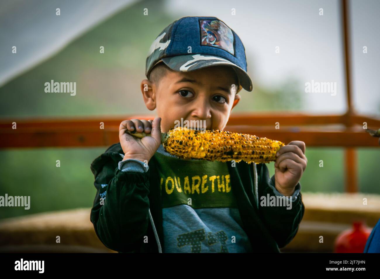 Junge, der Mais mit Leidenschaft isst Stockfoto