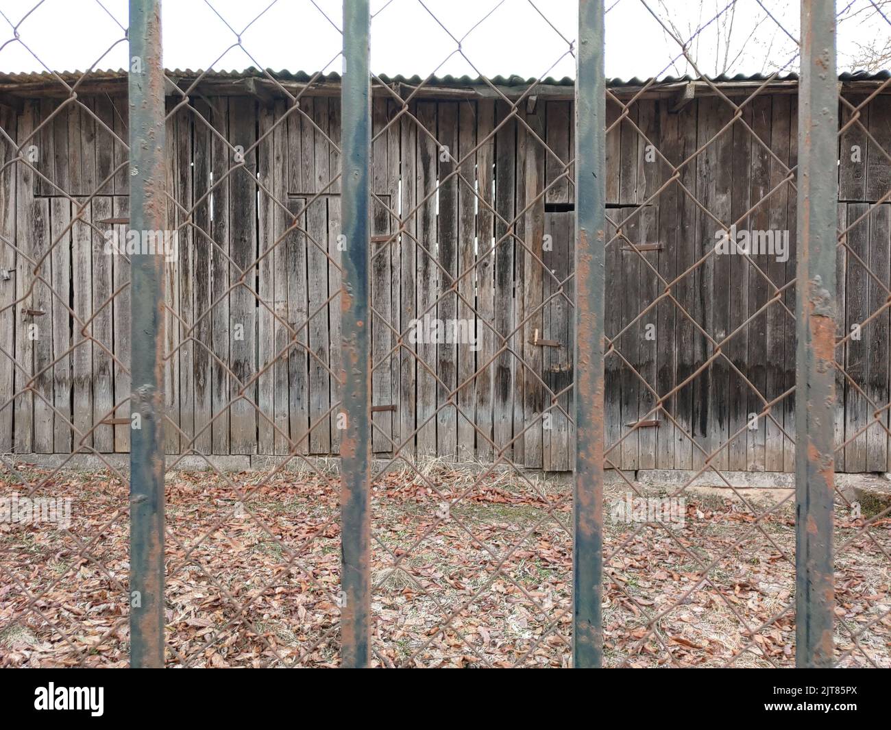 Ein Metallnetz mit einem Muster mit trockenen Blättern dahinter Stockfoto