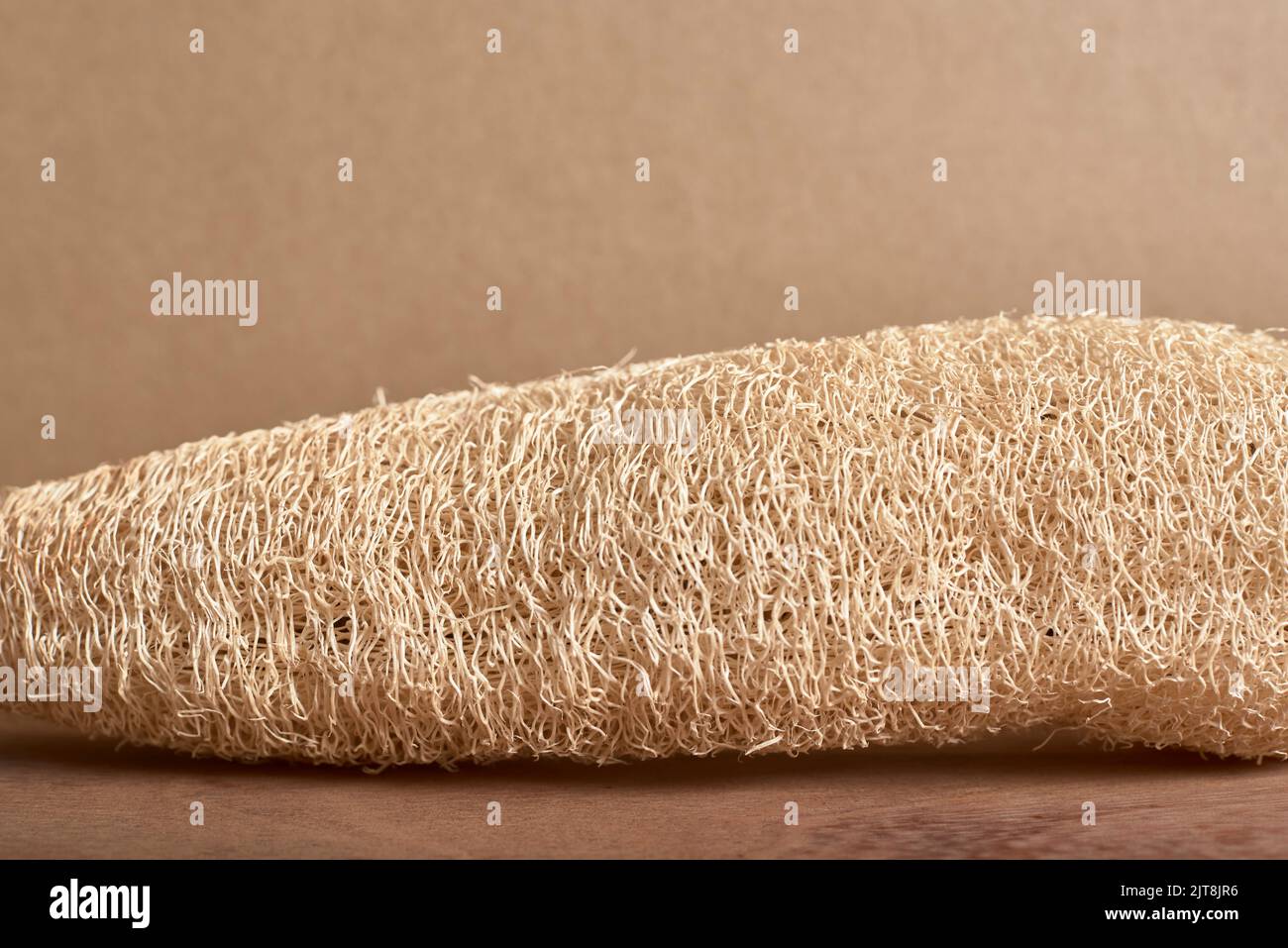 Loofah, biologisch abbaubarer ökologischer Gemüseschwamm. Konzepte: Nachhaltiger Lebensstil, Auswahl umweltfreundlicher Produkte. Stockfoto