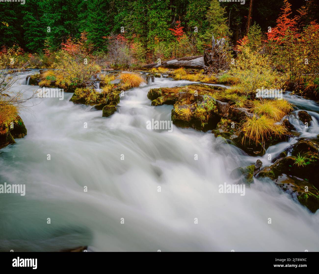 Rogue River, Rogue River National Wild and Scenic River, Rogue River National Forest, Oregon Stockfoto