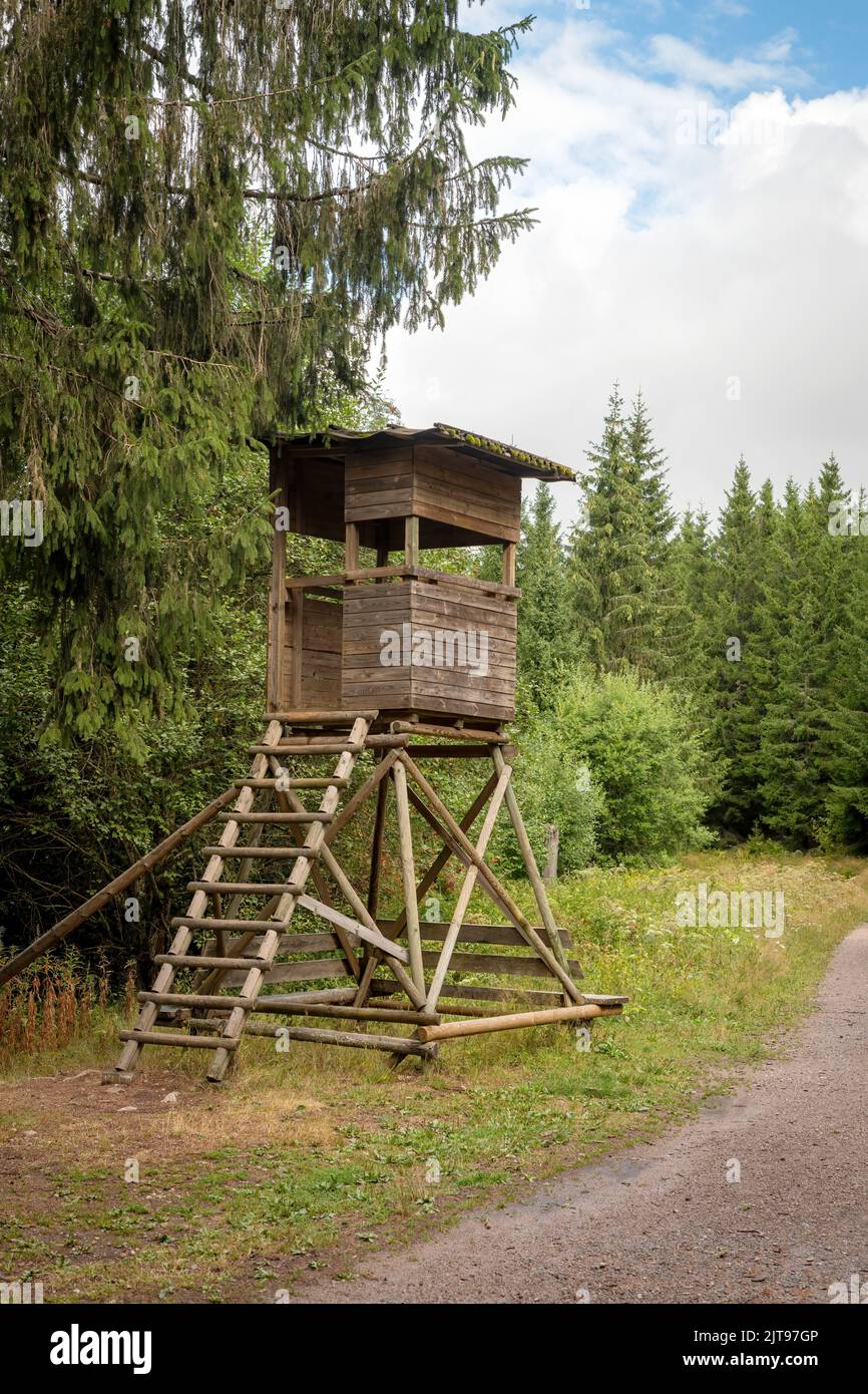 Hölzerner Huntsman hoher Sitz am Waldrand vor einer Wiese mit grünem Hintergrund Stockfoto