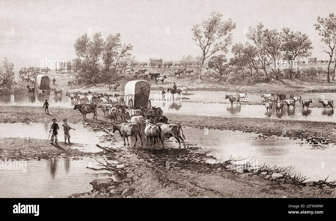Bull Trains Crossing the Plains im 19.. Jahrhundert. Nach einer Illustration eines unbekannten Künstlers aus den 1860er Jahren. Vor der Gründung der Eisenbahnen waren Stierzüge oder Waggonzüge, die von Ochsen gezogen wurden, das Transportmittel für Siedler und Bergleute, die ins Innere der Vereinigten Staaten fuhren. Stockfoto