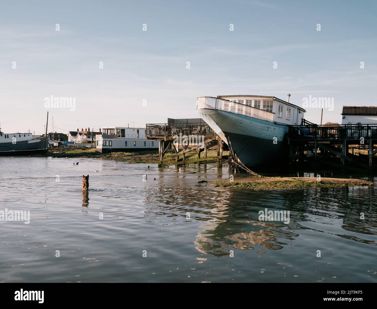 Die Sommer-Hausbootlandschaft von West Mersea, Mersea Island, Essex, England Stockfoto