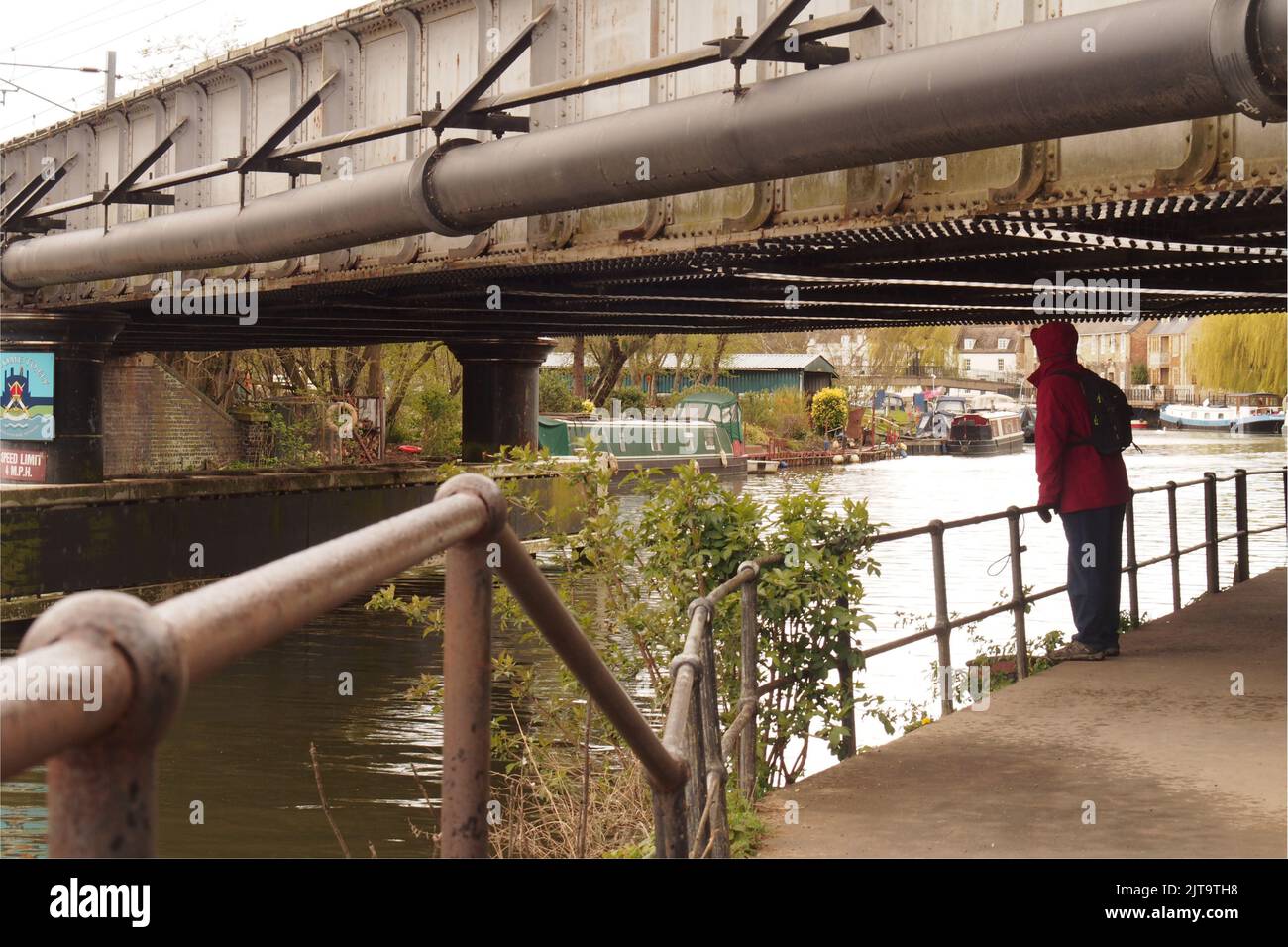 Ein Mann 60+, der unter einer Eisenbahnbrücke auf einem Kanalschleppweg in Ely, Cambridgeshire, steht und die Unterseite der Brücke mit einem wasserdichten Mantel studiert Stockfoto