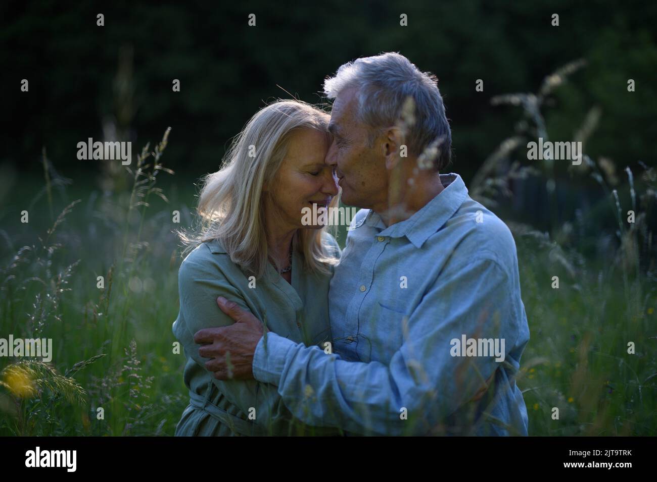 Portrait eines liebevollen Seniorenpaares, das sich in der Natur küsst. Stockfoto