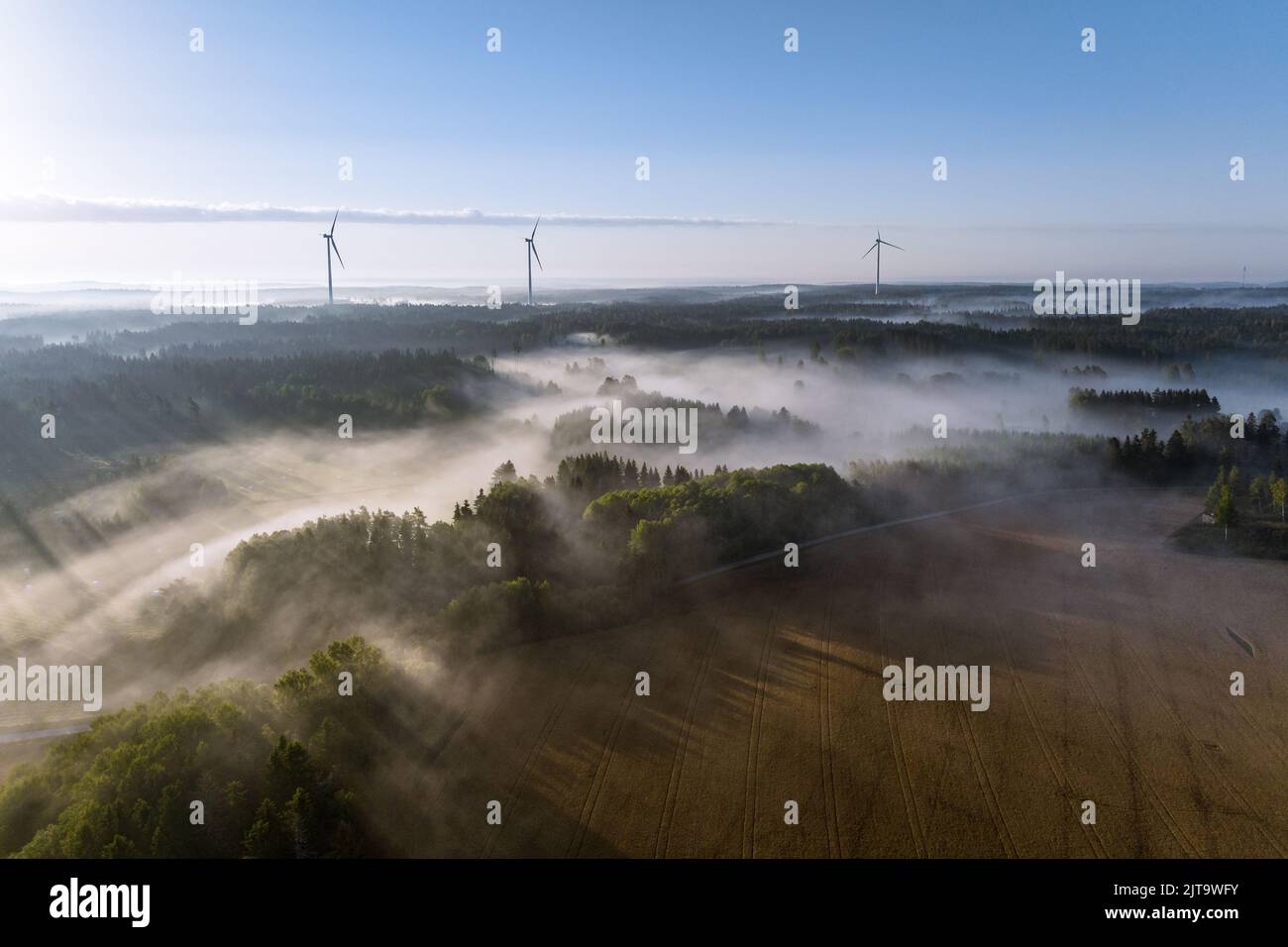 Windmühlen in der Dämmerung in der nebligen Landschaft Finnlands Stockfoto