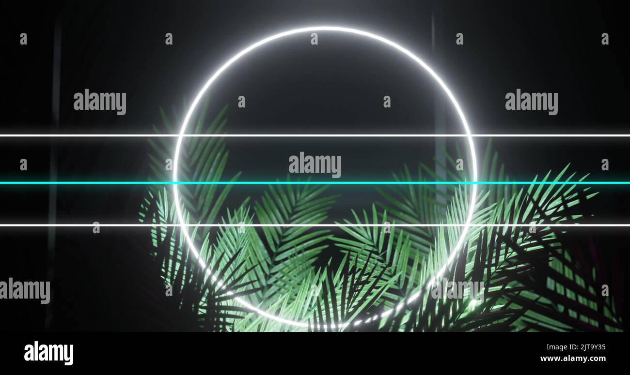 Bild von Kommunikationslinien, die Daten übertragen, und weißem Neonring mit Palmblättern auf Schwarz Stockfoto