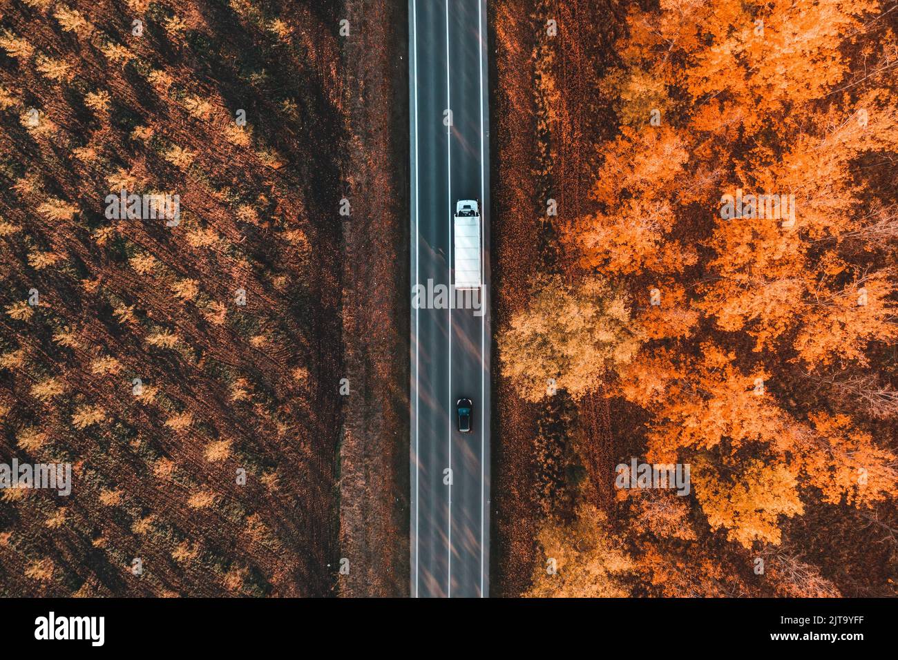 Luftaufnahme von LKW und Auto auf der Straße durch den Wald im Herbst, top down Drohne pov des Verkehrs auf der Straße in nicht-städtischen Landschaft Stockfoto