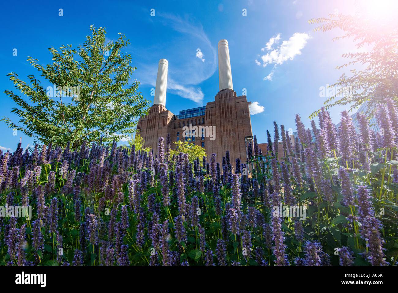 Flora und Fauna - im Sommer trifft die Natur auf das Kraftwerk Battersea bei strahlendem Sonnenschein Stockfoto