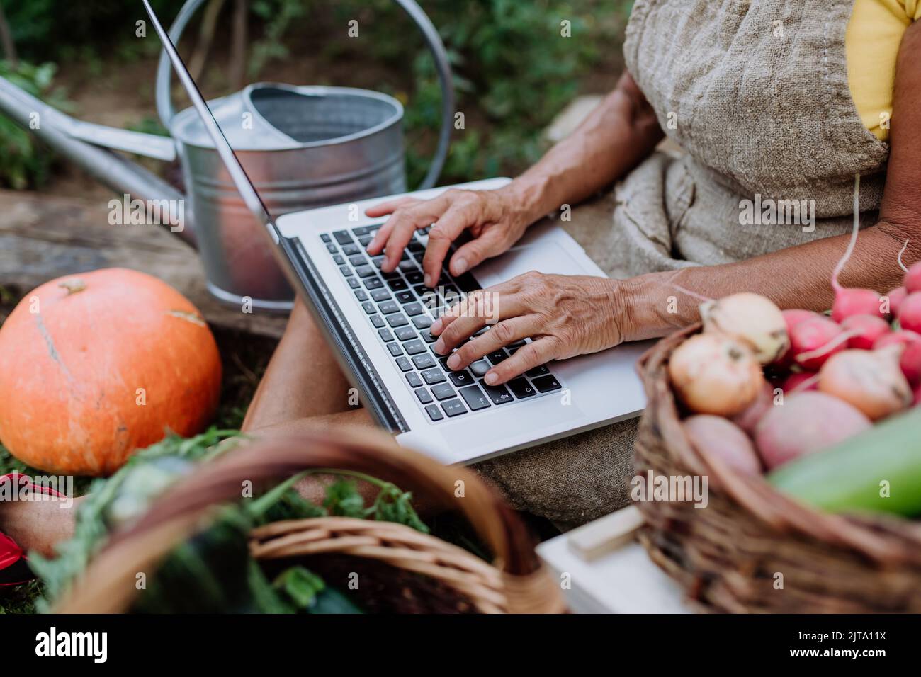 Bäuerin mit Laptop und die Bearbeitung von Bestellungen ihres hausgemachten Bio-Gemüse im Garten, Kleinunternehmen Konzept. Stockfoto