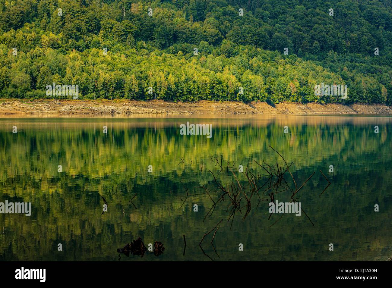 Das Ufer des Poiana Marului Sees spiegelte sich im Sommer in einer Symmetrie wider. Das Foto wurde am 31.. Juli 2022 im Reservat Poiana Marului, Caras-Severin Cou, aufgenommen Stockfoto