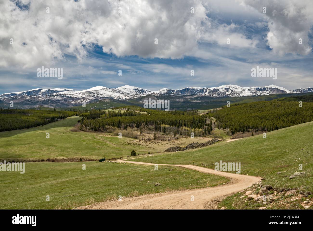 Bighorn Mountains, Fernsicht von Hunter Mesa, Hunter Creek Road, in der Nähe von Hunter Campground und Paradise Guest Ranch, Bighorn National Forest, Wyoming Stockfoto