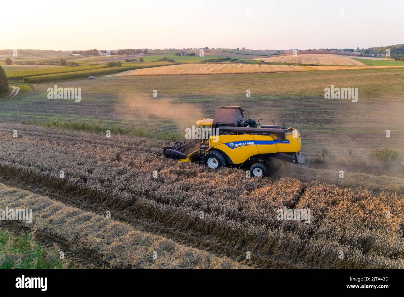 Gelber Harvester fährt durch das Farmfeld mit grüner Landschaft im Hintergrund. Landwirtschaft und Landwirtschaft. Horizontale Aufnahme. Hochwertige Fotos Stockfoto