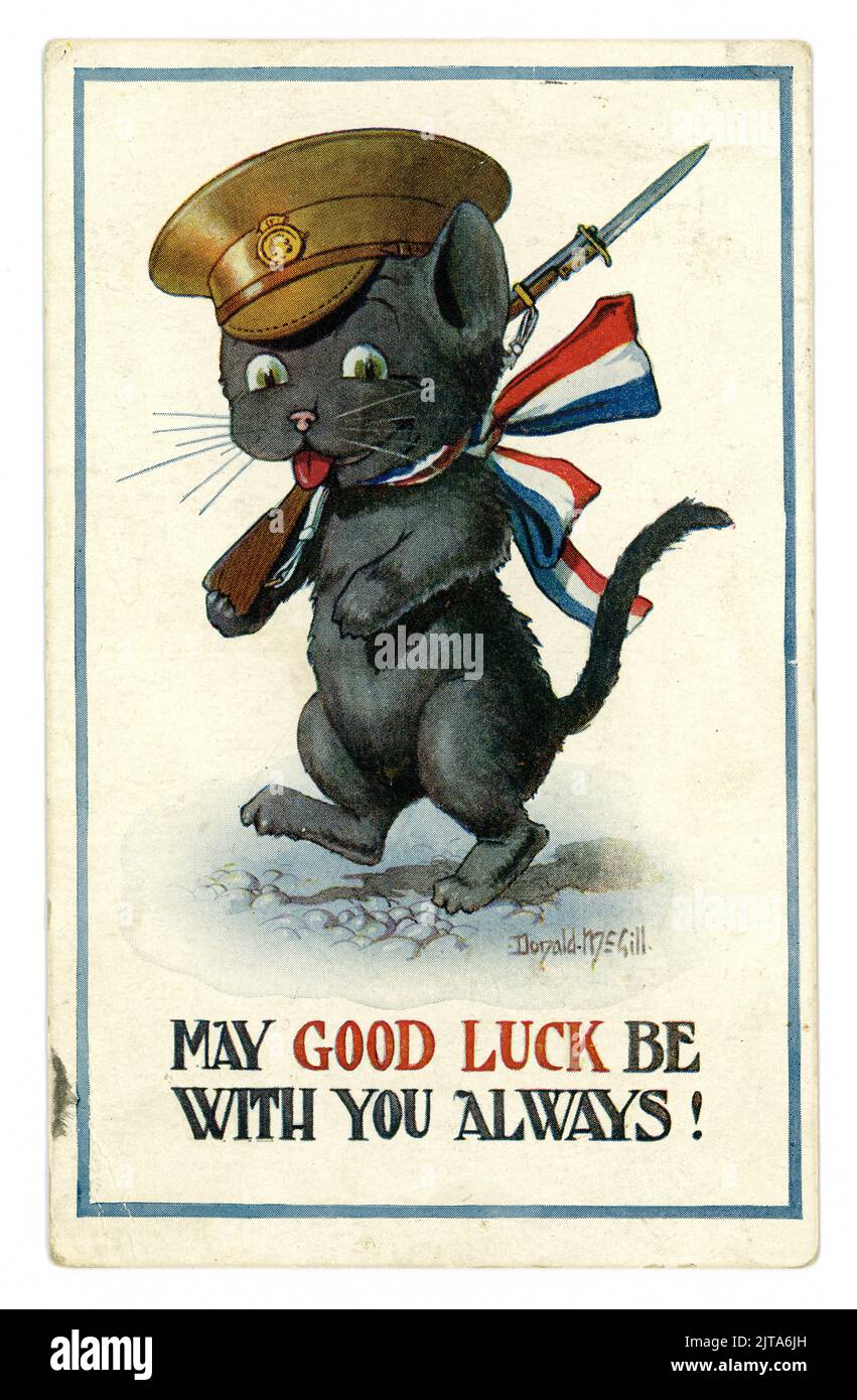 Original Glückspostkarte aus der Zeit WW1 einer schwarzen Katze, Symbol für Glück, mit einer französischen Nationalflagge, die in einem Bogen um den Hals gebunden ist, eine Militärmütze trägt und ein Gewehr hält. Die Überschrift lautet: „Ich wünsche Ihnen immer viel Glück“. Es wurde für britische Soldaten hergestellt, die an die Front geschickt wurden, französische Flagge, datiert/gebucht vom Bousley Camp, Aldershot, 30. Juni 1916. Stockfoto