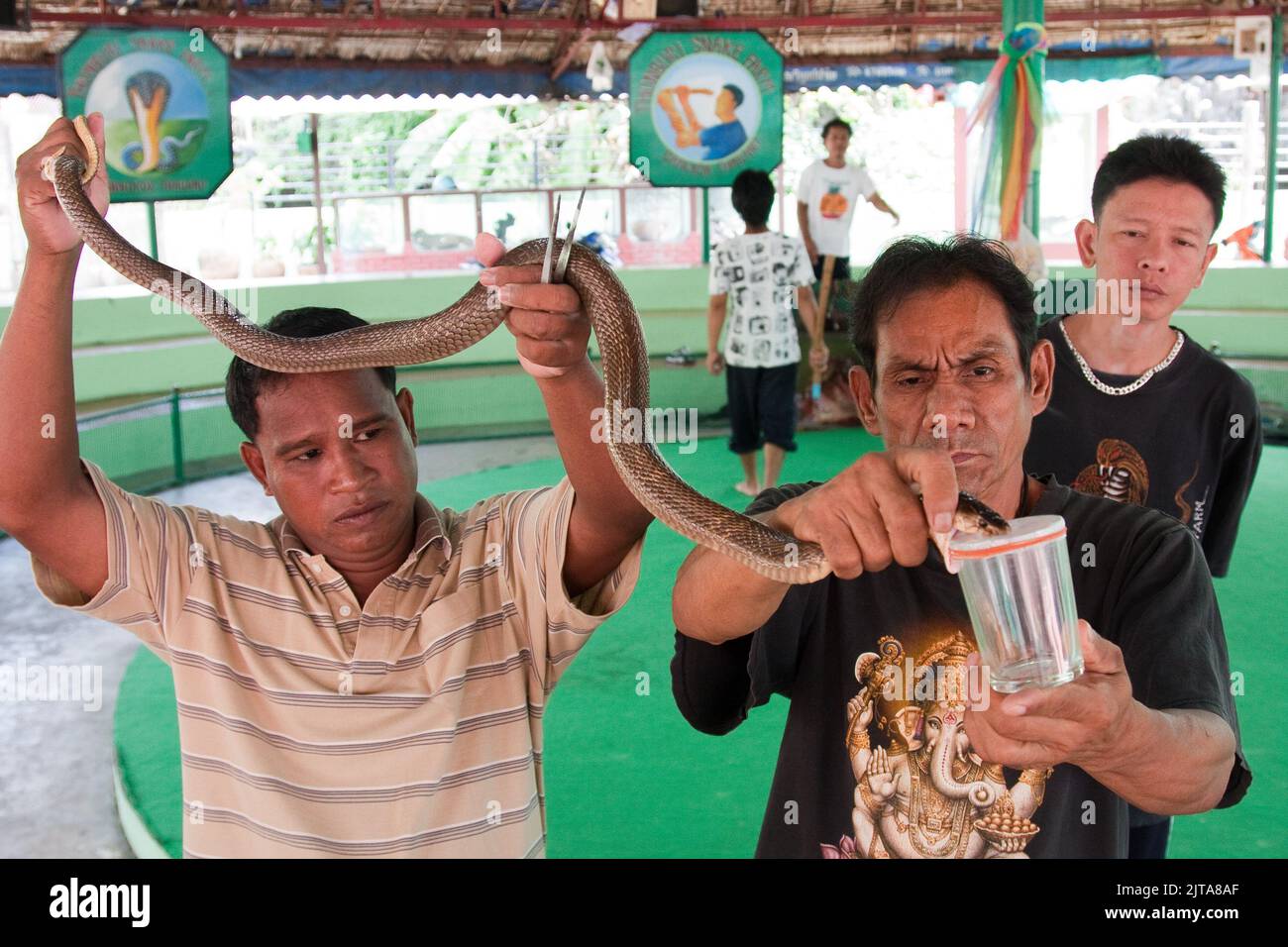 Thailand, Bangkok. Die Schlangenfarm Thonburi liegt an einem der Kanäle und bietet eine Schlangenschau für Touristen und gleichzeitig einen kleinen Zoo mit kleinen Anis Stockfoto