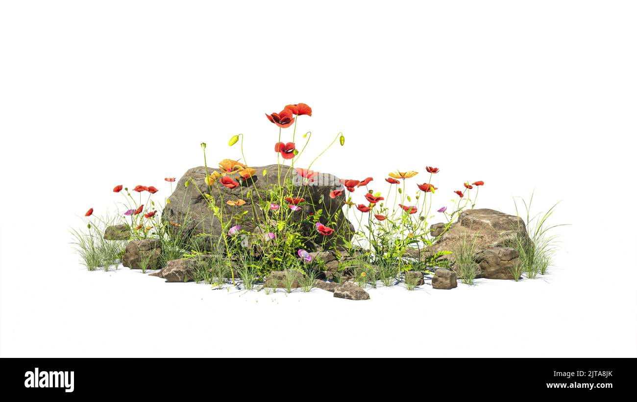 Kleiner Garten besteht aus Steinbusch und Blumen mit isoliertem Hintergrund Stockfoto