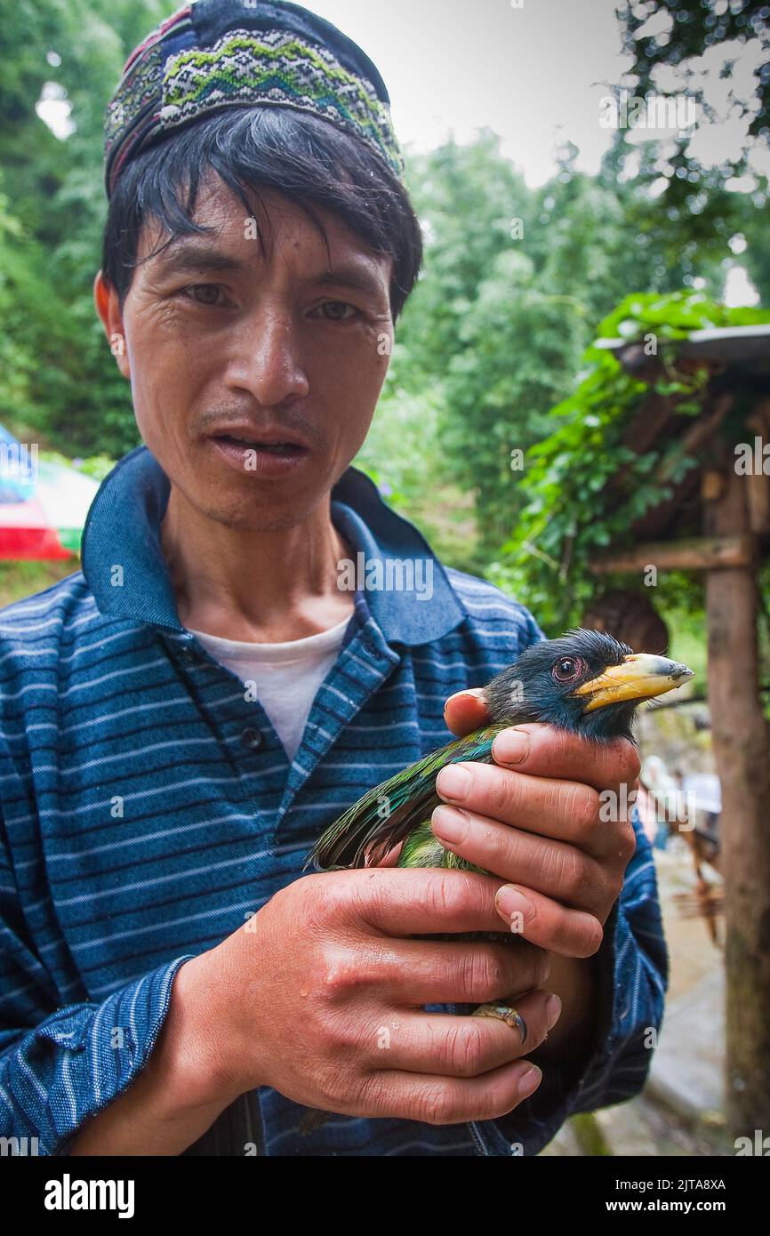 Vietnam, Hmong Stammesmann mit einem Vogel, den er im Wald um Sapa gefangen hat. Sapa ist eine Stadt in der Nähe der chinesischen Grenze und beliebt bei Touristen wegen t Stockfoto