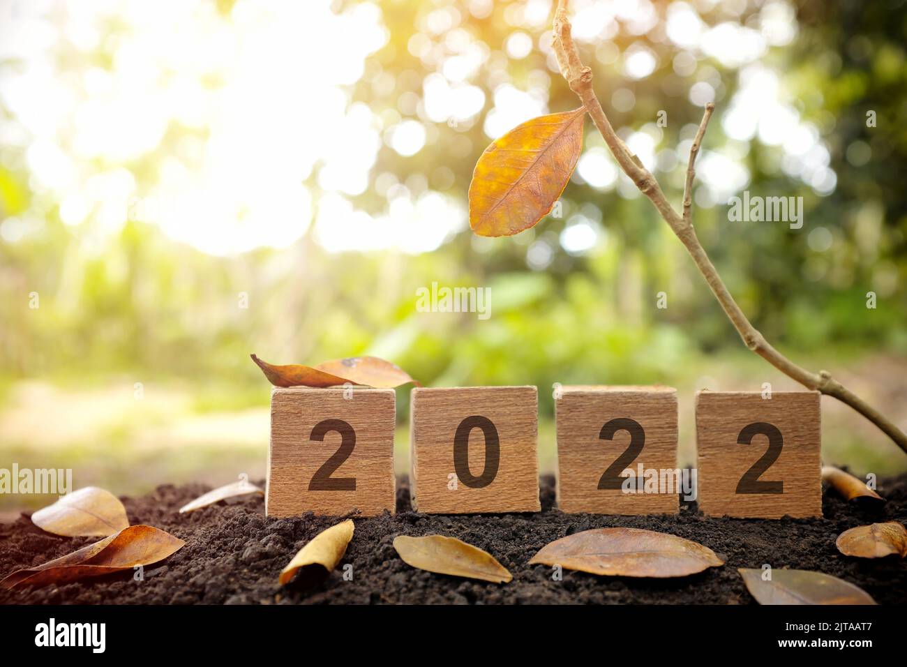 Auf Wiedersehen Jahr 2022 und Herbst- oder Herbstjahreskonzept. Holzblöcke mit natürlichem Hintergrund und gelbem Blatt bei Sonnenuntergang. Stockfoto