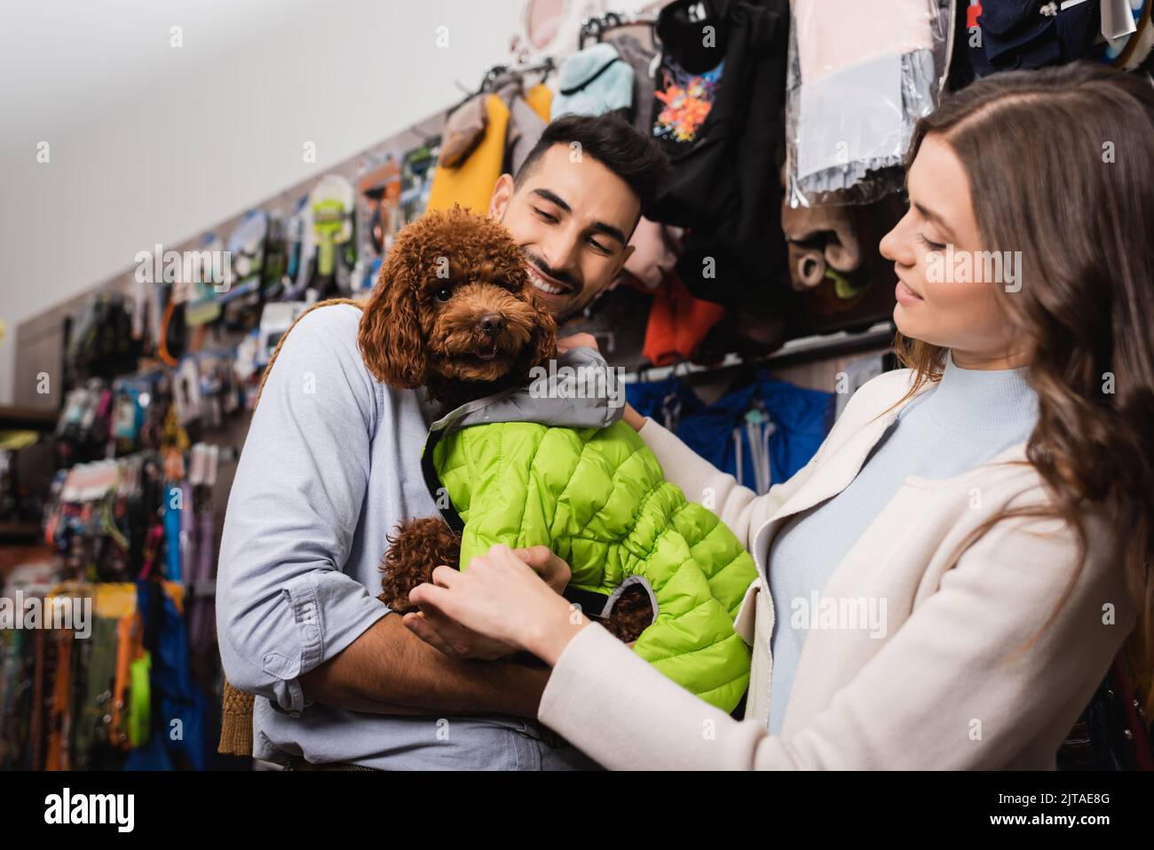 Lächelndes interrassisches Paar mit Tierjacke auf Pudel im Tierladen Stockfoto