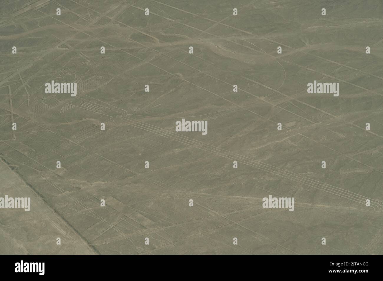 Eine schöne Aufnahme von Nazca Condor Lines Geoglyphen in der Nasca Wüste Stockfoto