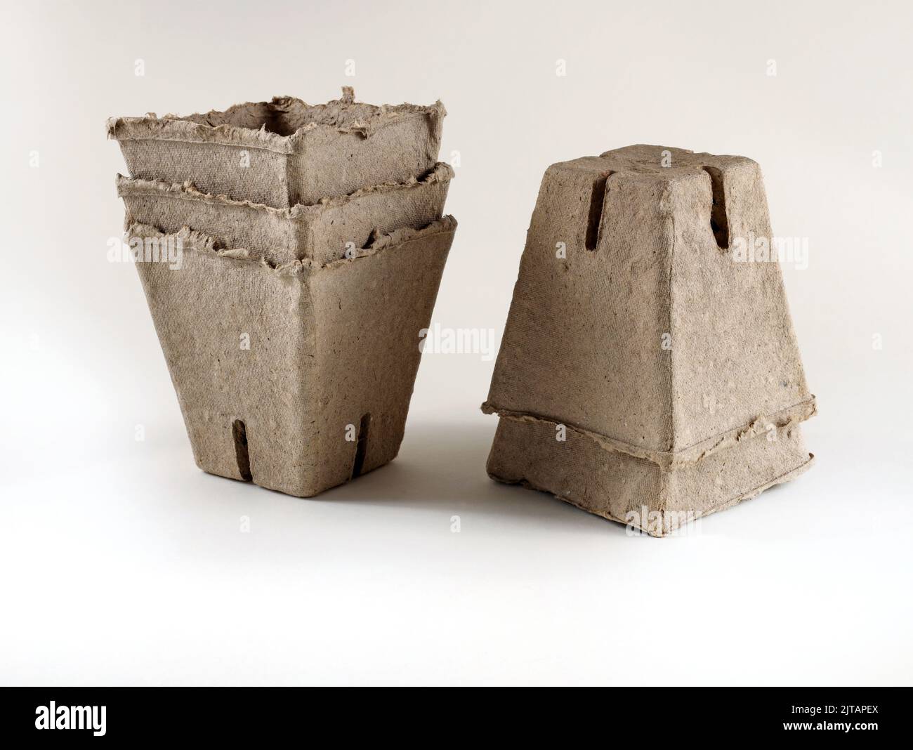 Torfbecher ist ein umweltfreundliches Produkt. Topf für Sämlinge aus natürlichen Materialien. Torftöpfe für den Anbau von Keimlingen von Gemüse- und blumenkrüben Stockfoto
