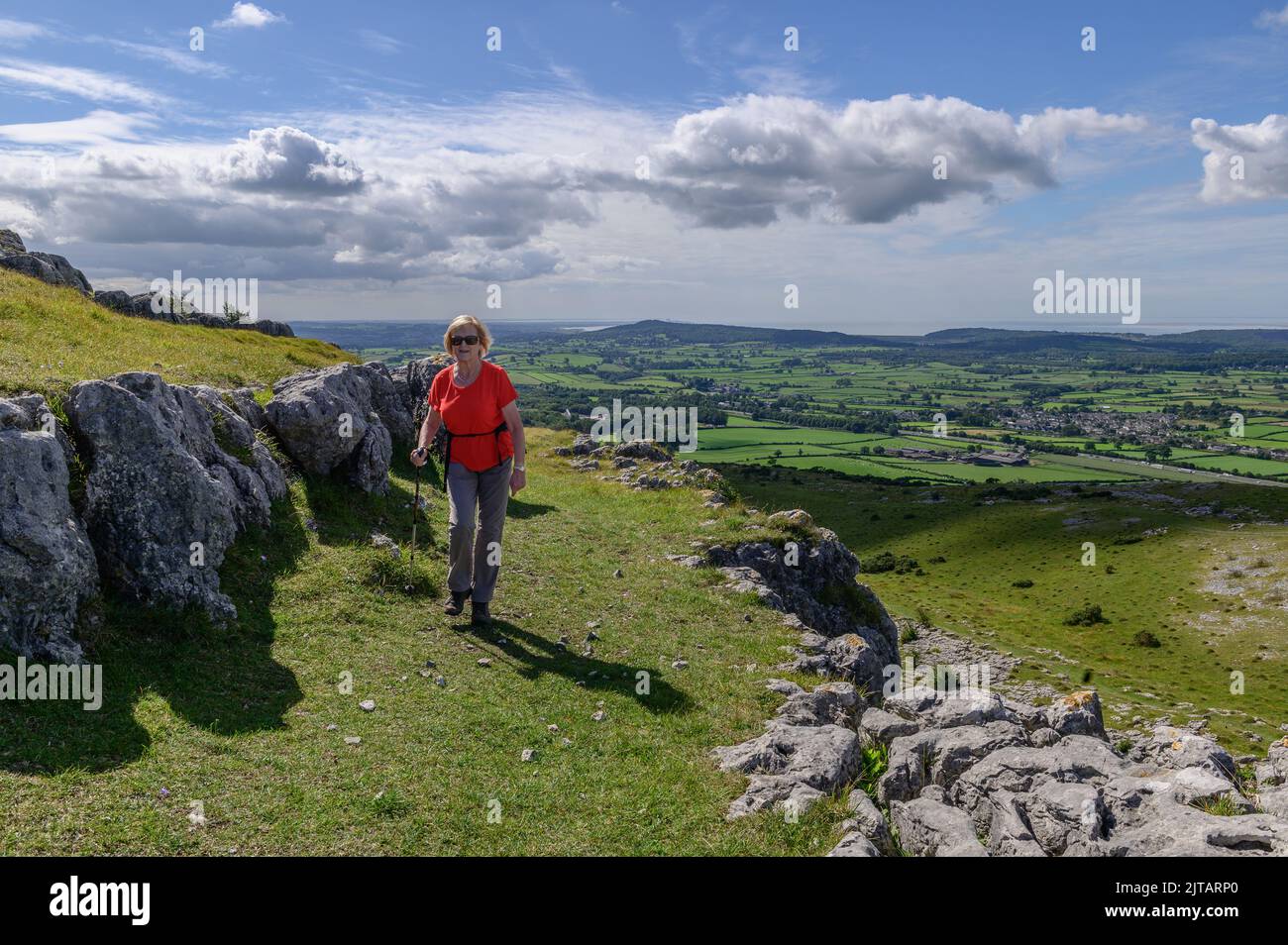 Kreisförmiger Fußweg über den Klippen am Farleton Knott bei Milnthorpe in Cumbria Stockfoto