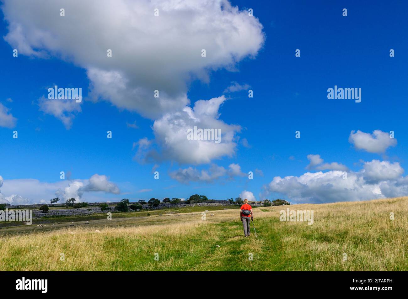 Fußweg über Farleton fiel in der Nähe von Milnthorpe in Cumbria Stockfoto