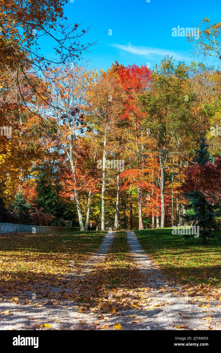 Zweispurige unbefestigte Fahrt zum farbenfrohen Waldwald im Herbst Stockfoto