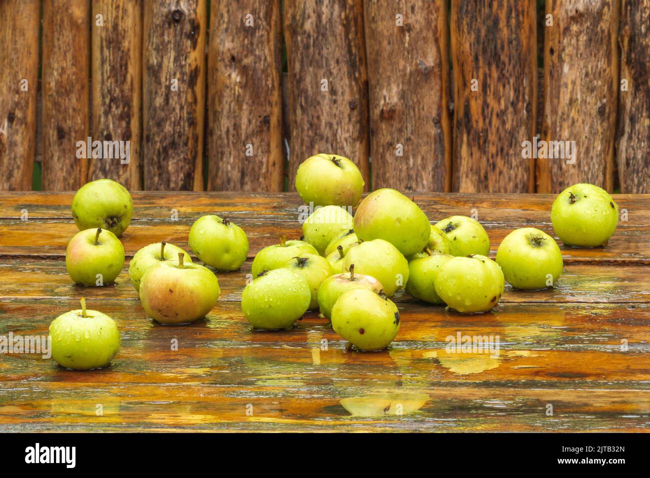 Verstreute Äpfel auf nassem Holztisch Stockfoto