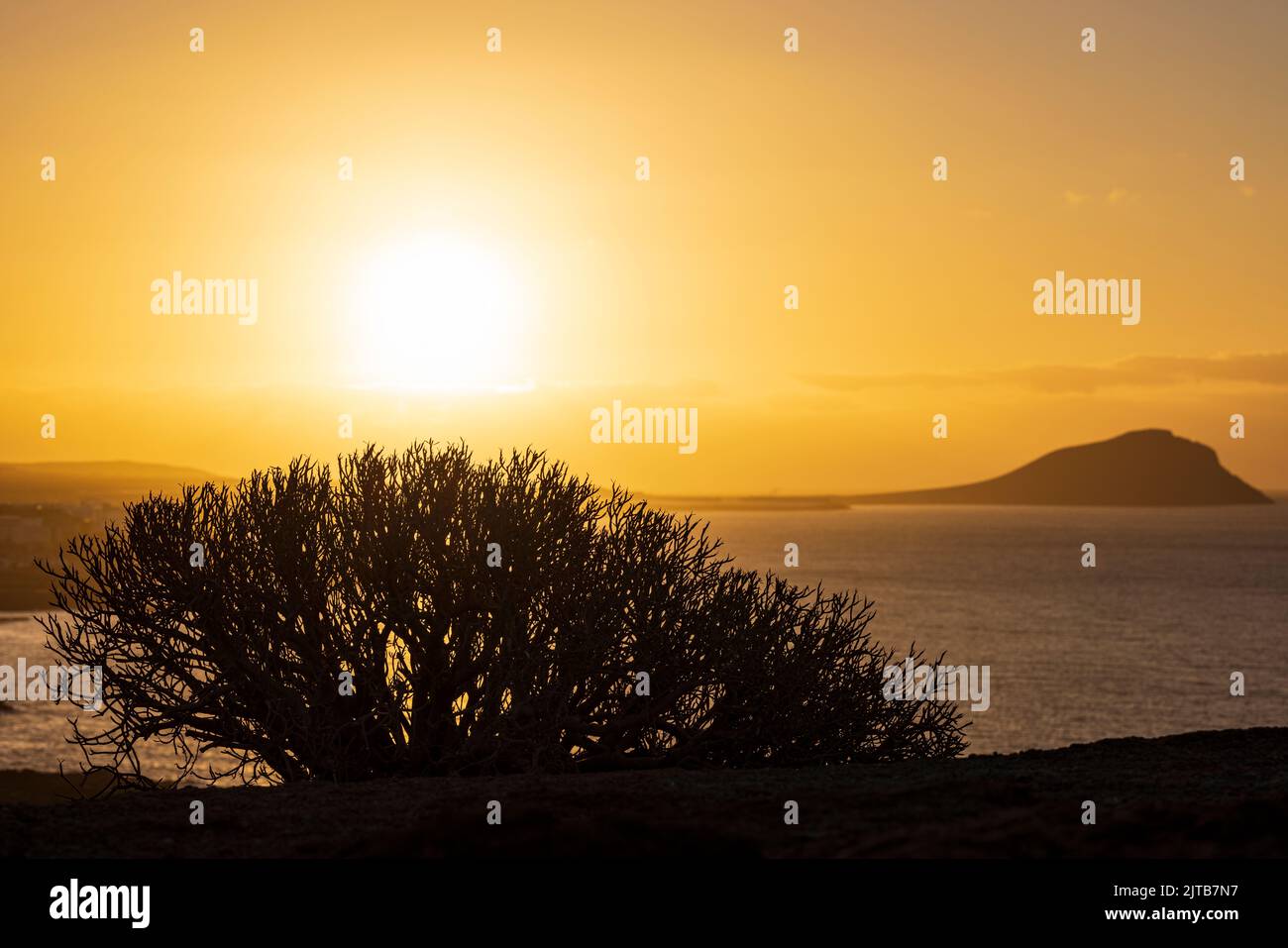 Roter Berg, Montaña Roja in Silhouette bei Sonnenaufgang. Morgendämmerung an der Ostküste von Teneriffa, Kanarische Inseln, Spanien Stockfoto