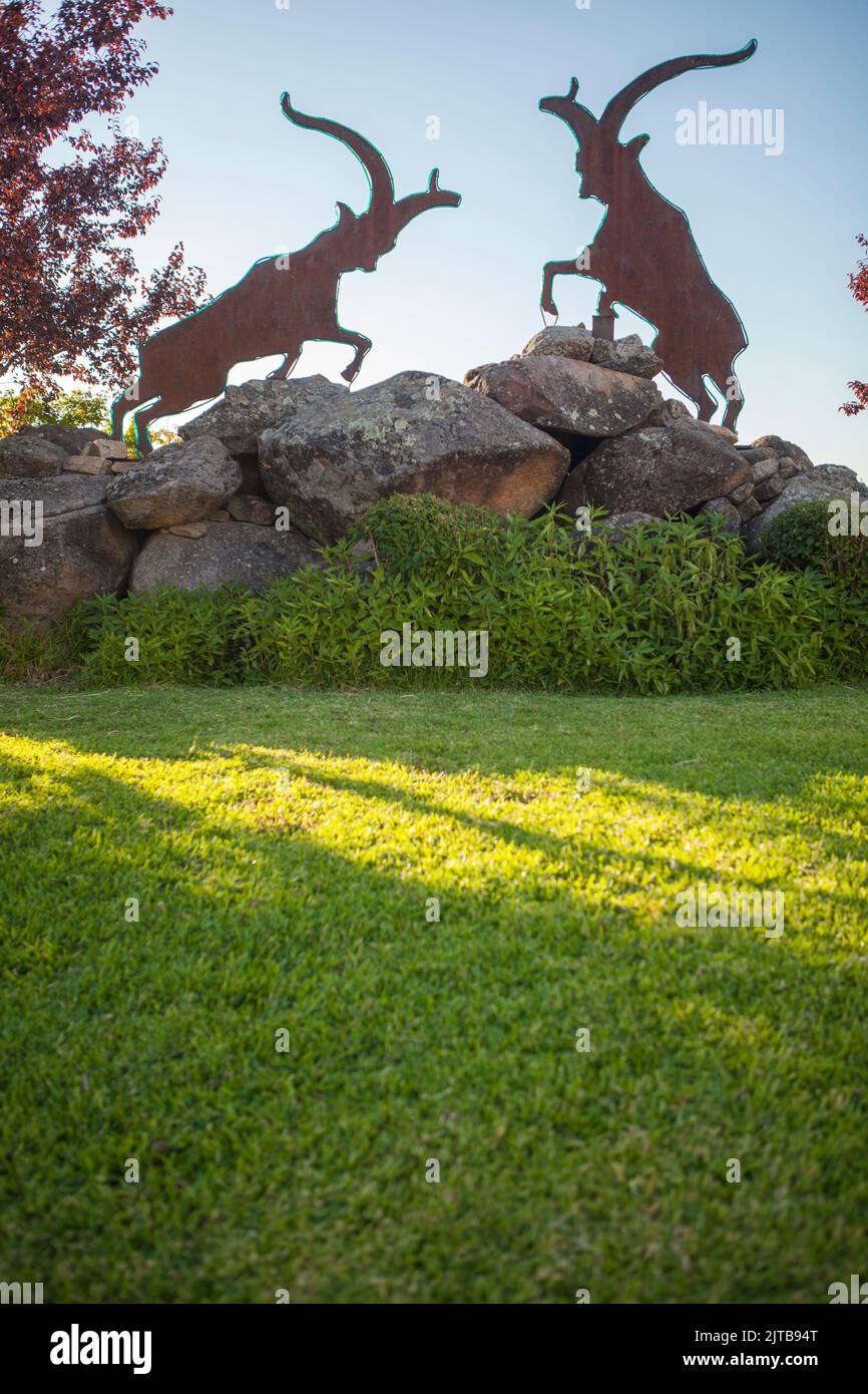 Spanischer Wildziegenroundabout in Losar de la Vera, Caceres, Extremadura, Spanien Stockfoto