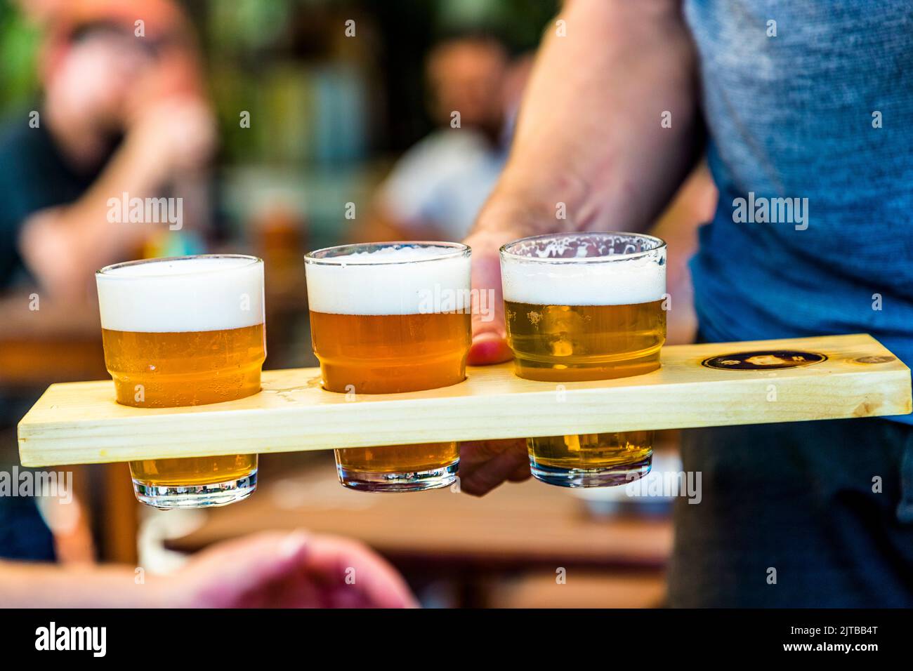 Ein Bierverkostungsflug von der Brauerei Davo in Deventer, einer von neun historischen Hansestädten an der IJssel, Provinz Overijssel, Niederlande, mit drei goldenen, schaumgekrönten Gläsern, wird über den Tisch gereicht. Stockfoto