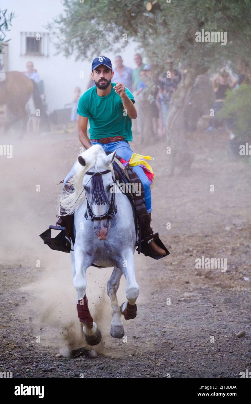 Carrera de Cintas a Caballo auf der Comares Sommer Feria, Axarquia, Malaga, Andalucía, Spanien Stockfoto