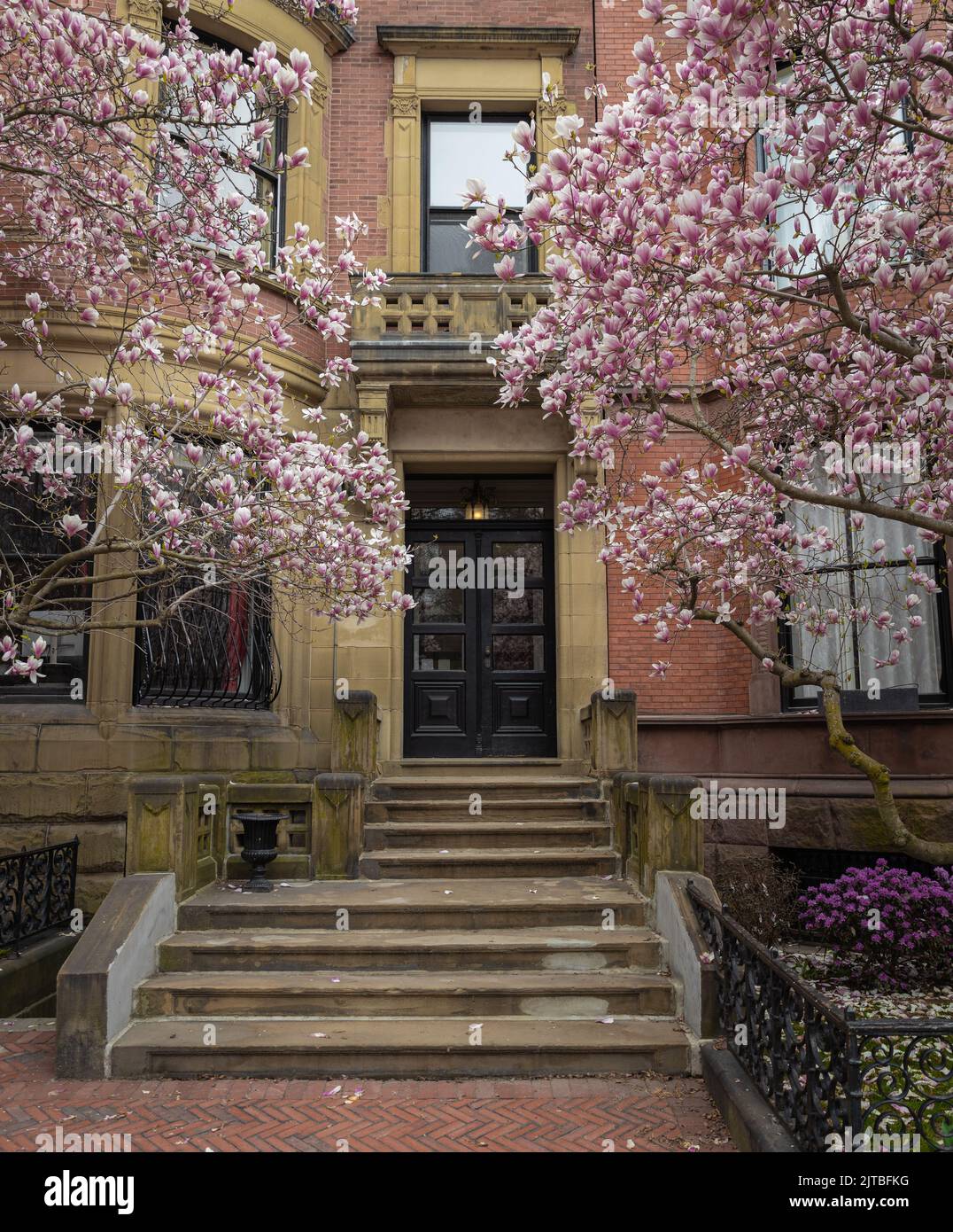 Ein Backsteingebäude in einem Bay-Viertel von Boston mit Frühlingsblüten Stockfoto