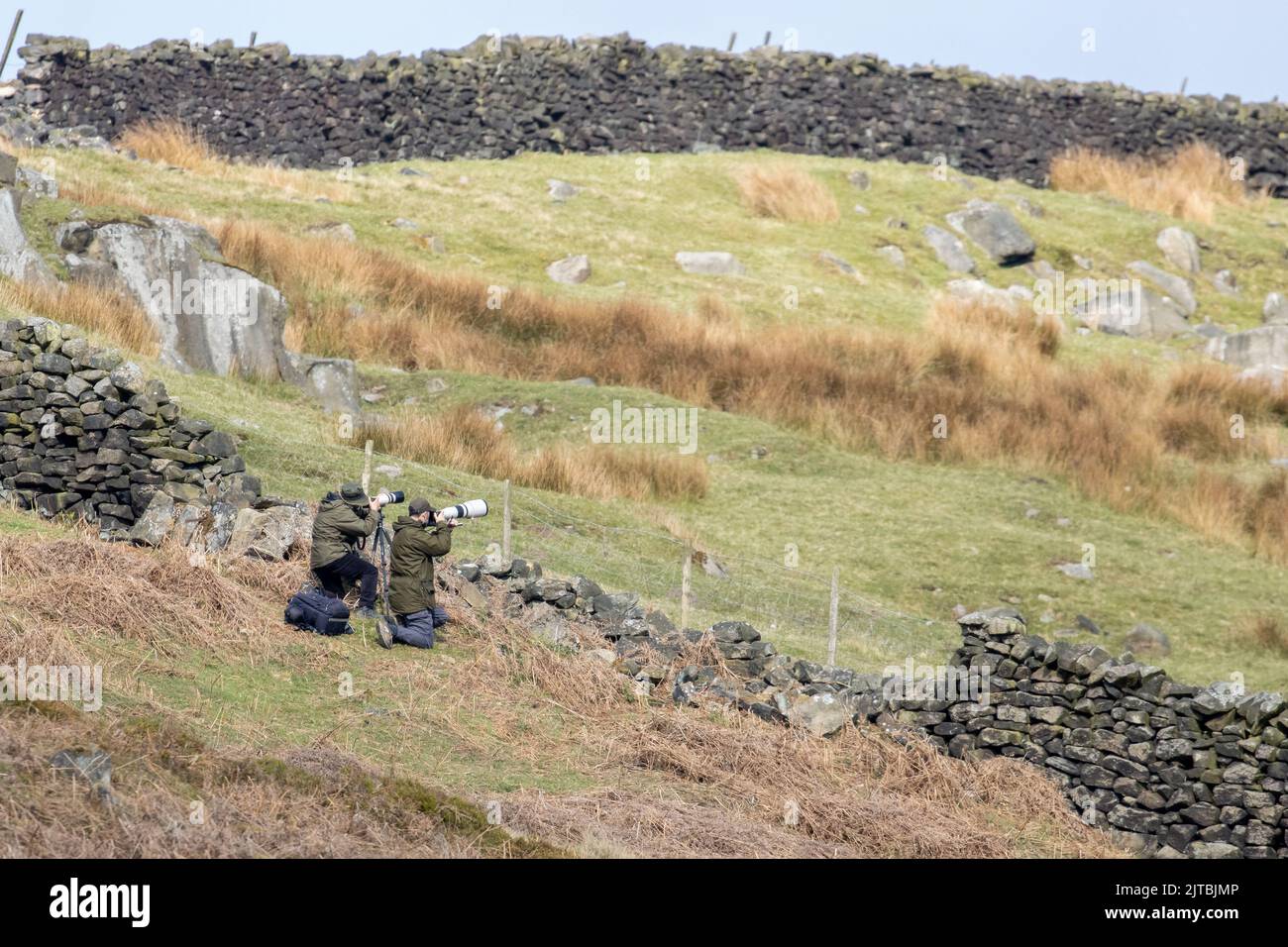 Zwei Fotografen, die große Objektive zum Fotografieren von Wildtieren verwenden, Burley Moor, West Yorkshire, England, Großbritannien Stockfoto