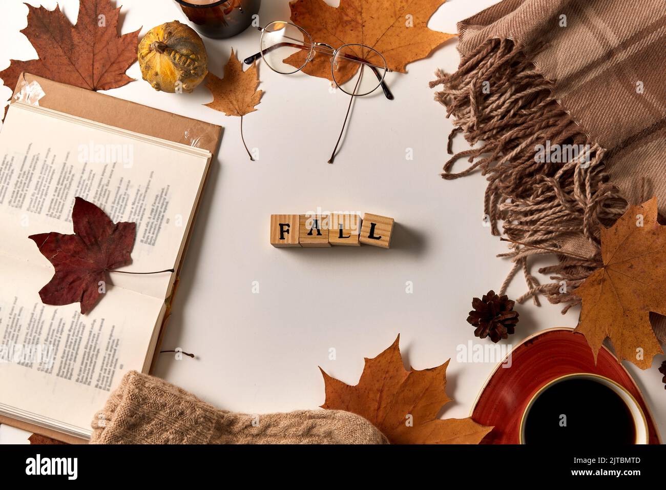 Fallwort aus Spielzeugblöcken und herbstlichem Stab Stockfoto