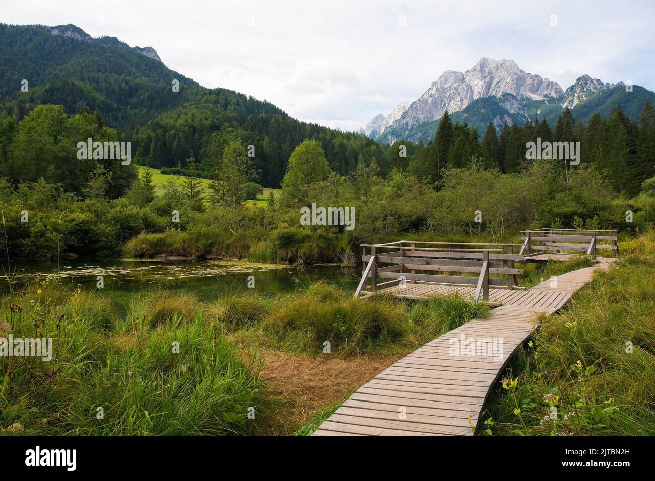 Aussichtsplatten im Naturschutzgebiet Zelenci bei Kranjska Gora im Nordwesten Sloweniens. Geschütztes Feuchtgebiet und Quelle des Flusses Sava Dolinka Stockfoto